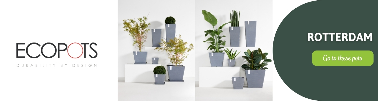Sustainable Ecopots flower pots and planters | Hermie.com